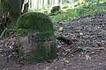 DSC01817 - Bernhard Saalfeld