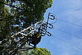 DSC01819 - Bernhard Saalfeld