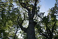 DSC01820 - Bernhard Saalfeld