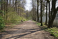 DSC02967 - Bernhard Saalfeld