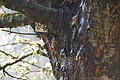 DSC02968 - Bernhard Saalfeld