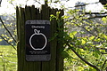 DSC02969 - Bernhard Saalfeld