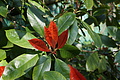 DSC02973 - Bernhard Saalfeld