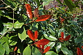 DSC02974 - Bernhard Saalfeld