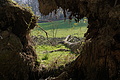 DSC02981 - Bernhard Saalfeld