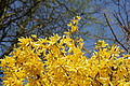 DSC02987 - Bernhard Saalfeld