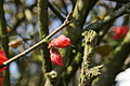 DSC02988 - Bernhard Saalfeld