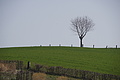 DSC02993 - Bernhard Saalfeld