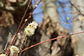 DSC02995 - Bernhard Saalfeld
