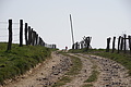 DSC02996 - Bernhard Saalfeld