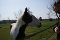 DSC02999 - Bernhard Saalfeld