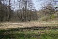 DSC03002 - Bernhard Saalfeld