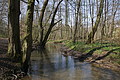 DSC03003 - Bernhard Saalfeld