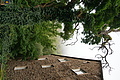 DSC06543 - Bernhard Saalfeld