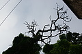 DSC06544 - Bernhard Saalfeld