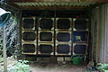 DSC06548 - Bernhard Saalfeld