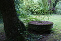 DSC06551 - Bernhard Saalfeld