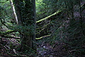 DSC06567 - Bernhard Saalfeld