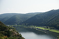 DSC06590 - Bernhard Saalfeld