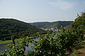 DSC06591 - Bernhard Saalfeld
