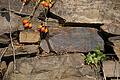 DSC06598 - Bernhard Saalfeld