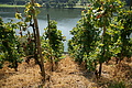 DSC06600 - Bernhard Saalfeld