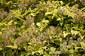 DSC06601 - Bernhard Saalfeld