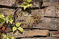 DSC06602 - Bernhard Saalfeld