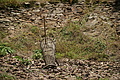 DSC06604 - Bernhard Saalfeld
