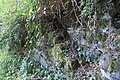DSC06606 - Bernhard Saalfeld