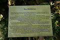 DSC06607 - Bernhard Saalfeld