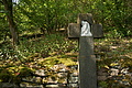 DSC06608 - Bernhard Saalfeld
