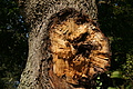DSC06609 - Bernhard Saalfeld