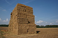 DSC06612 - Bernhard Saalfeld