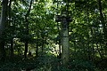 DSC06614 - Bernhard Saalfeld