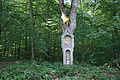 DSC06615 - Bernhard Saalfeld