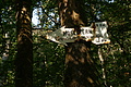 DSC06643 - Bernhard Saalfeld