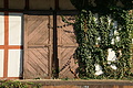 DSC06651 - Bernhard Saalfeld