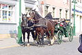 DSC00292 - Bernhard Saalfeld