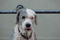 DSC00304 - Bernhard Saalfeld