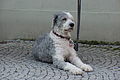 DSC00306 - Bernhard Saalfeld