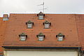 DSC00356 - Bernhard Saalfeld