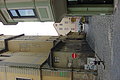 DSC00360 - Bernhard Saalfeld