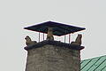 DSC00371 - Bernhard Saalfeld
