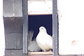 DSC00415 - Bernhard Saalfeld