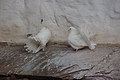 DSC00418 - Bernhard Saalfeld