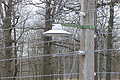 DSC00446 - Bernhard Saalfeld