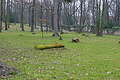 DSC00503 - Bernhard Saalfeld