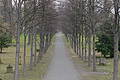 DSC00507 - Bernhard Saalfeld