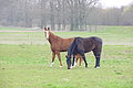 DSC00576 - Bernhard Saalfeld